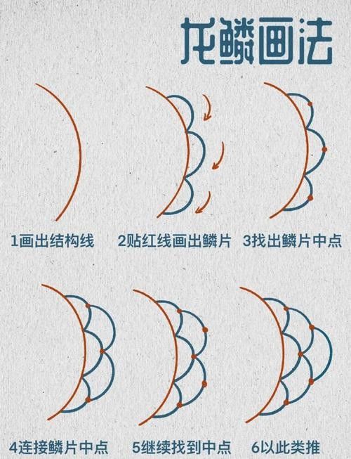 龍魚過背和高背的區別圖解