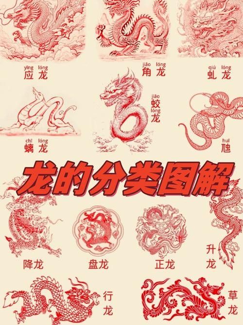 龍魚過背和高背的區別圖解