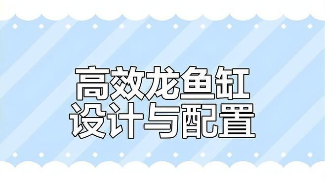 龍魚飼養需要哪些特殊設備？ 龍魚飼養需要哪些特殊設備？ 龍魚百科 第3張