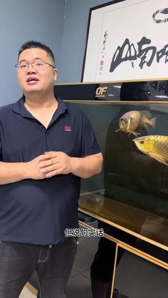 火龍魚(yú)怎么分公母圖片視頻 火龍魚(yú)怎么分公母圖片視頻 龍魚(yú)百科 第6張