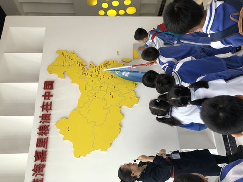 金龍魚公司是哪里的品牌 金龍魚公司是哪里的品牌 龍魚百科 第2張