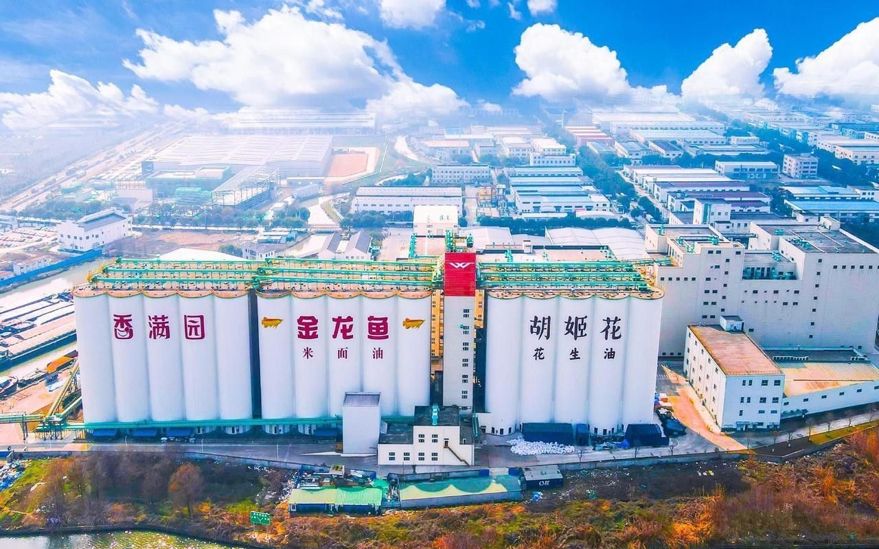 金龍魚公司是哪里的品牌 金龍魚公司是哪里的品牌 龍魚百科 第1張