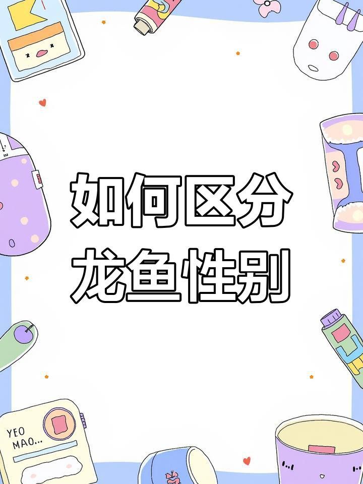 如何鑒別龍魚的雌雄？