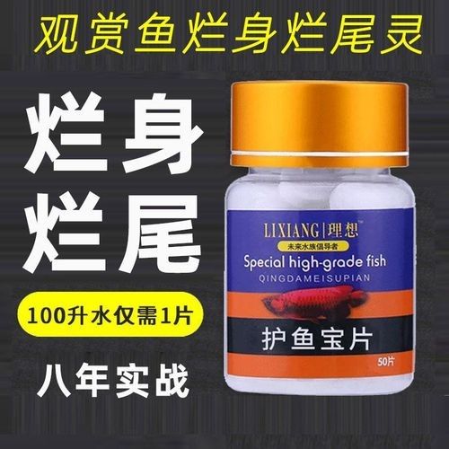 龍魚專用藥水有哪些