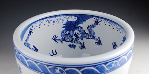景德鎮龍魚第一人:景德鎮龍魚第一人是誰? 龍魚百科 第1張 景德鎮龍魚第一人:景德鎮龍魚第一人是誰? 景德鎮龍魚第一人:景德鎮龍魚第一人是誰? 龍魚百科 第1張