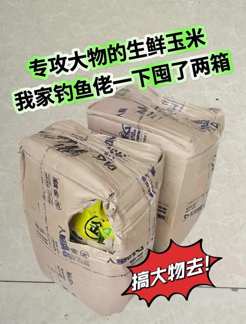 金龍餌料真的好用嗎