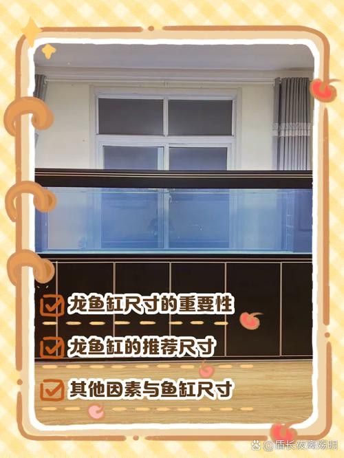 適合龍魚的魚缸尺寸圖