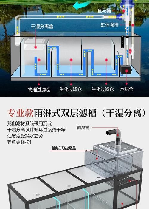 適合龍魚的魚缸尺寸圖
