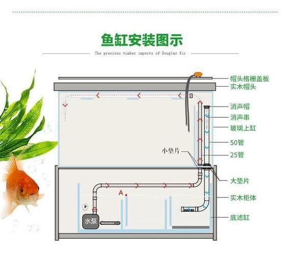 適合龍魚的魚缸尺寸圖