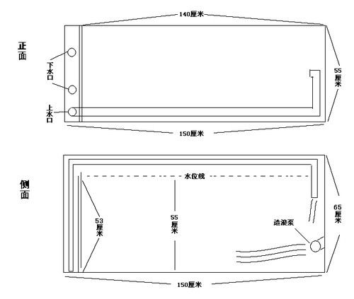 適合龍魚的魚缸尺寸圖