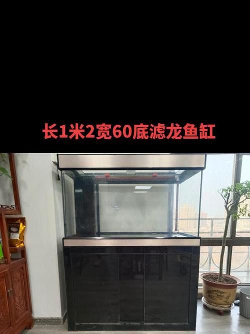 適合龍魚的魚缸尺寸圖