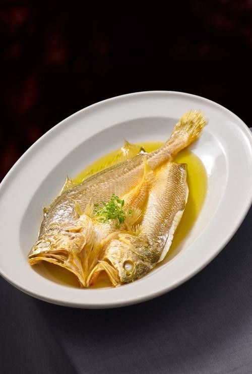 黃花魚和金龍魚