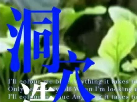 紅雷龍魚圖片欣賞 紅雷龍魚圖片欣賞 龍魚百科 第24張