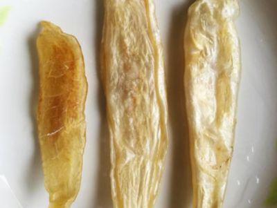如何判斷小金龍魚膠真假（如何辨別小金龍魚膠的真偽）