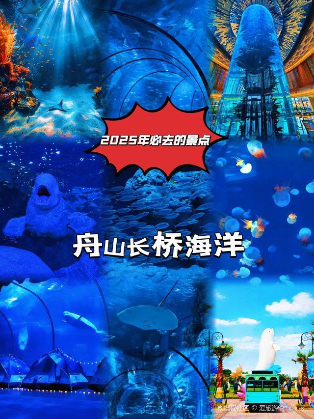 舟山小白龍魚養(yǎng)殖基地地址