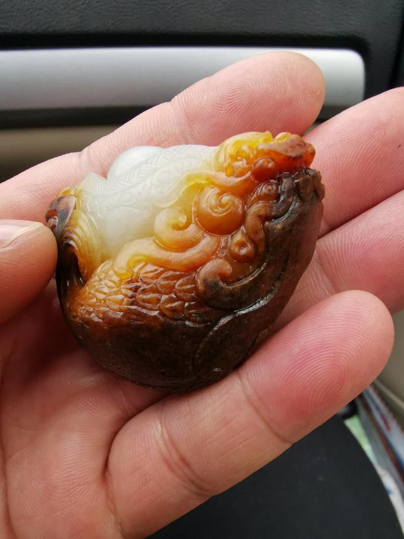 和田玉龍魚圖片欣賞 和田玉龍魚圖片欣賞 龍魚百科 第23張