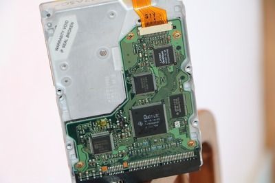 龍魚的芯片：龍魚芯片在龍魚養殖行業的應用