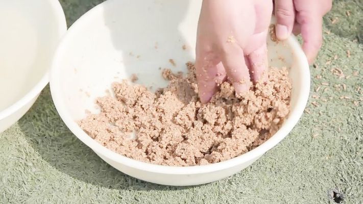 銀古魚苗飼料適口性測試方法：銀古魚苗的飼料適口性測試方法 銀古魚苗飼料適口性測試方法：銀古魚苗的飼料適口性測試方法 龍魚百科 第2張