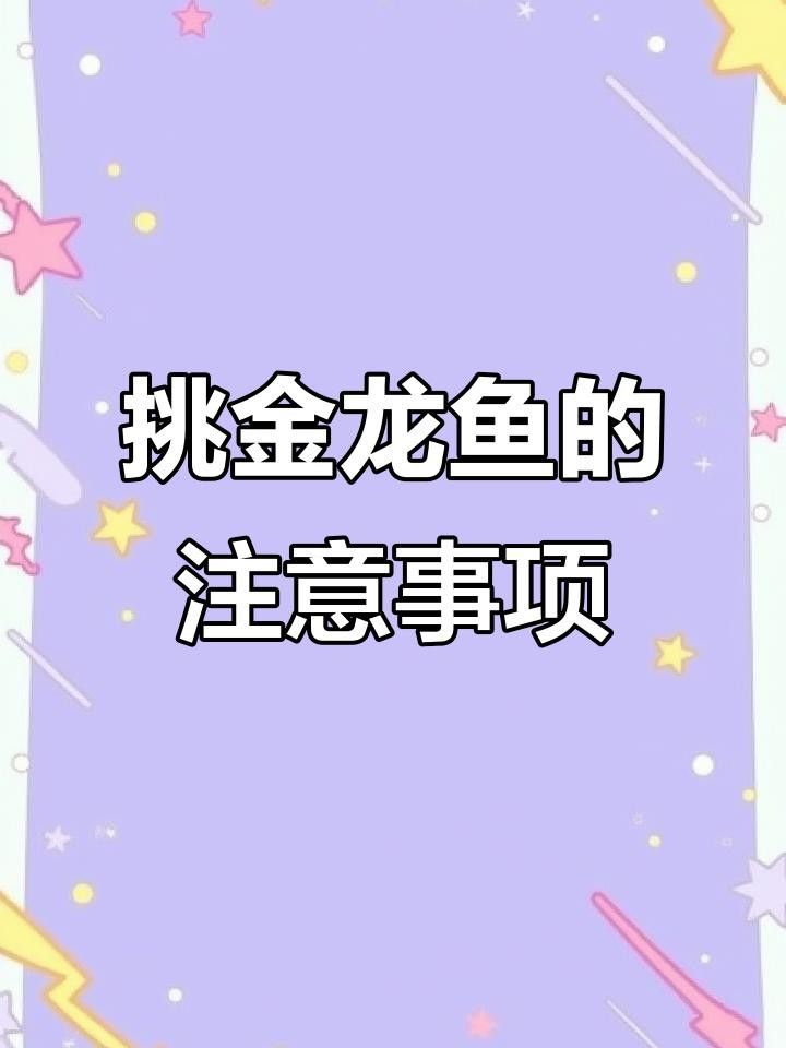 挑選金龍魚時需要注意哪些細節 挑選金龍魚時需要注意哪些細節 龍魚百科 第4張