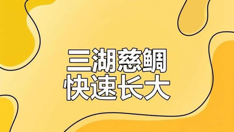 銀龍魚苗一個月能長多大啊視頻 銀龍魚苗一個月能長多大啊視頻 龍魚百科 第1張