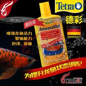 龍魚需要依賴進(jìn)口嗎？：雖然市場(chǎng)上大部分名貴龍魚在國內(nèi)流通