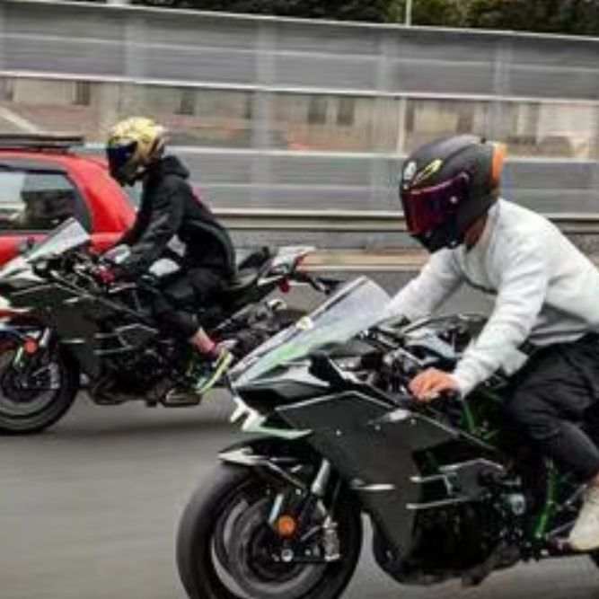 金龍鰍的寓意 龍魚百科 第2張 金龍鰍的寓意 金龍鰍的寓意 龍魚百科 第2張