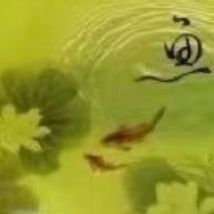 金龍鰍的寓意 龍魚百科 第4張 金龍鰍的寓意 金龍鰍的寓意 龍魚百科 第4張