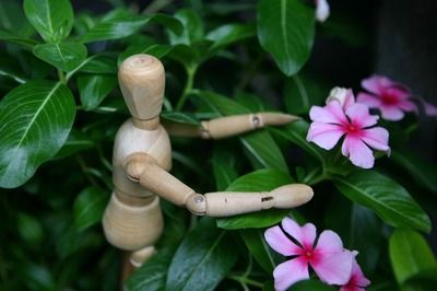 廣州雷龍魚專賣店（雷龍魚養(yǎng)殖基地聯(lián)系方式,）