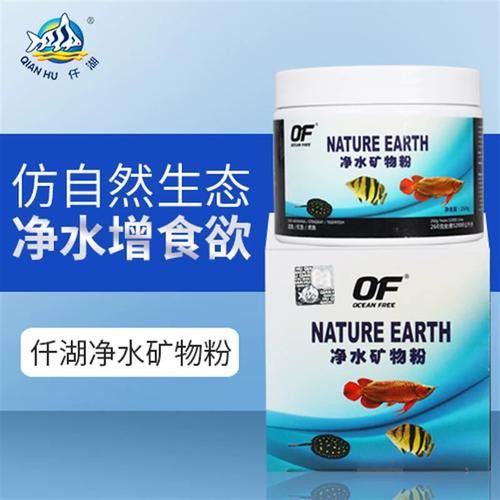 土龍魚大概多少錢一只