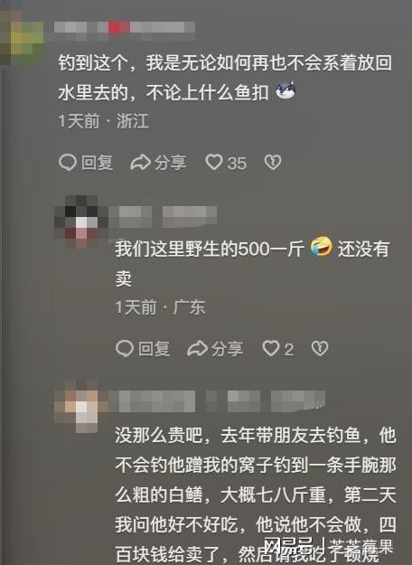 土龍魚大概多少錢一只