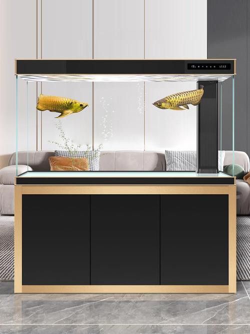 金龍魚缸圖片大全集欣賞