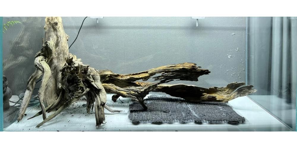 金龍魚缸圖片大全集欣賞