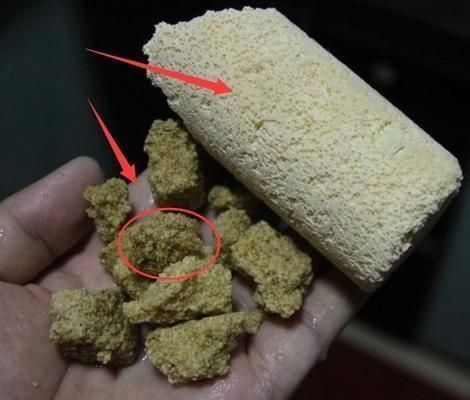 魚缸養魚不換水可以嗎，如何建立高效的魚缸過濾系統魚缸水質檢測方法 魚缸養魚不換水可以嗎，如何建立高效的魚缸過濾系統魚缸水質檢測方法 龍魚百科 第1張