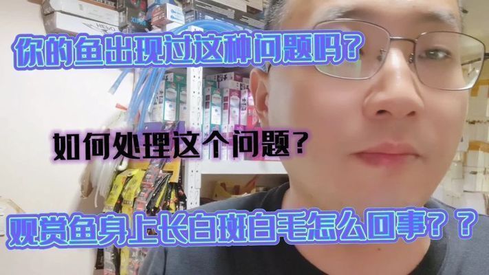 龍魚 不吃：龍魚不吃食可能由多種原因引起龍魚不吃食的原因和處理方法 龍魚 不吃：龍魚不吃食可能由多種原因引起龍魚不吃食的原因和處理方法 龍魚百科 第8張