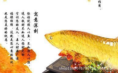 龍魚送人：將龍魚送人是可以的，但需要注意以下幾點