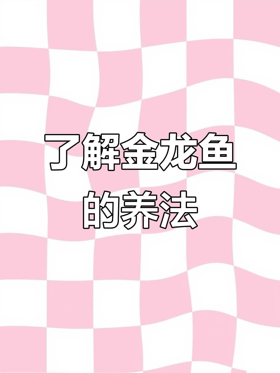 過背金龍魚繁殖注意事項