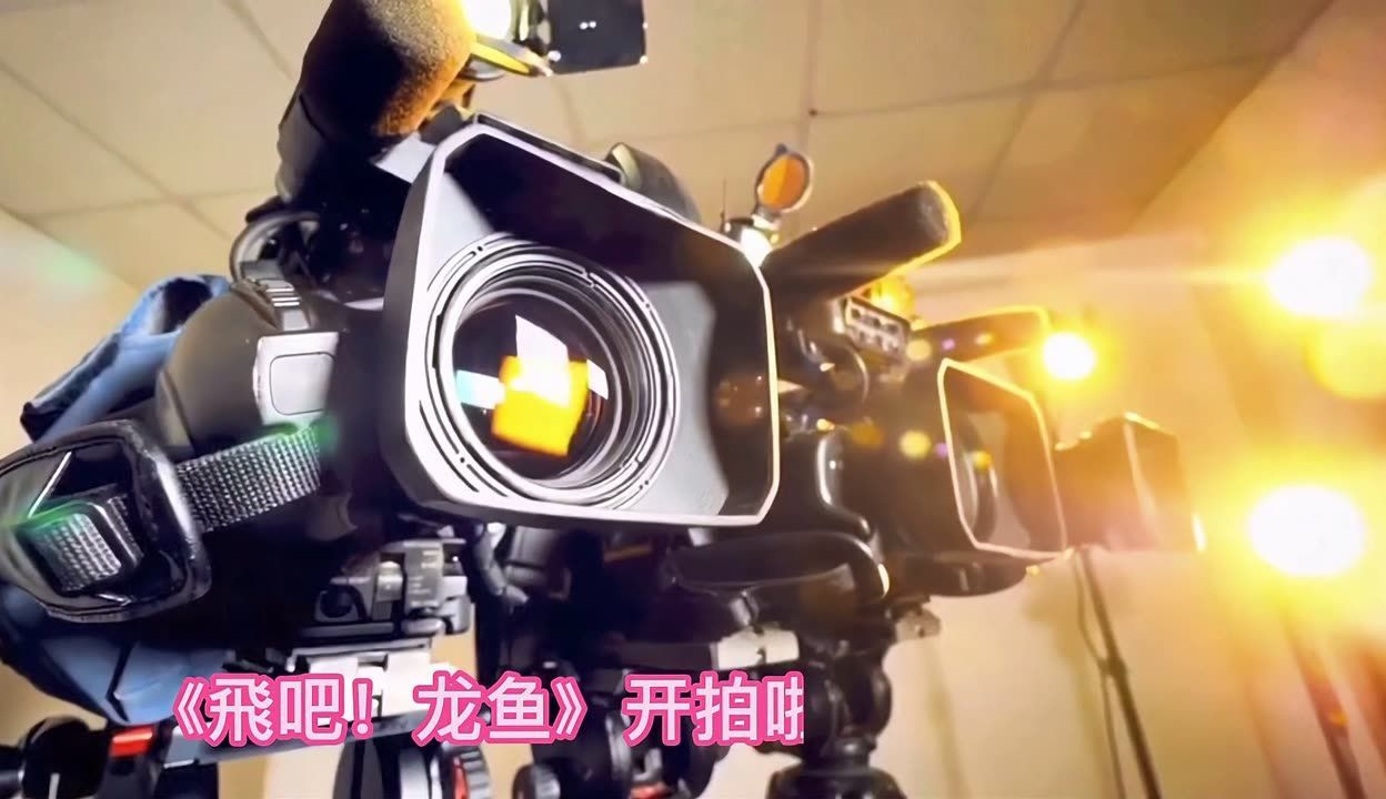祥龍魚場龍魚出口情況（祥龍魚場涉及龍魚出口信息主要體現(xiàn)在以下幾個(gè)方面）