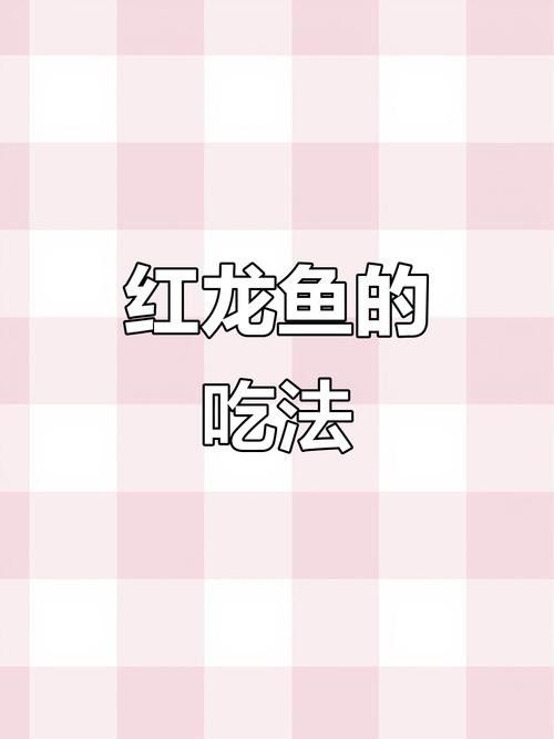 皇宮紅龍魚 皇宮紅龍魚 龍魚百科 第6張