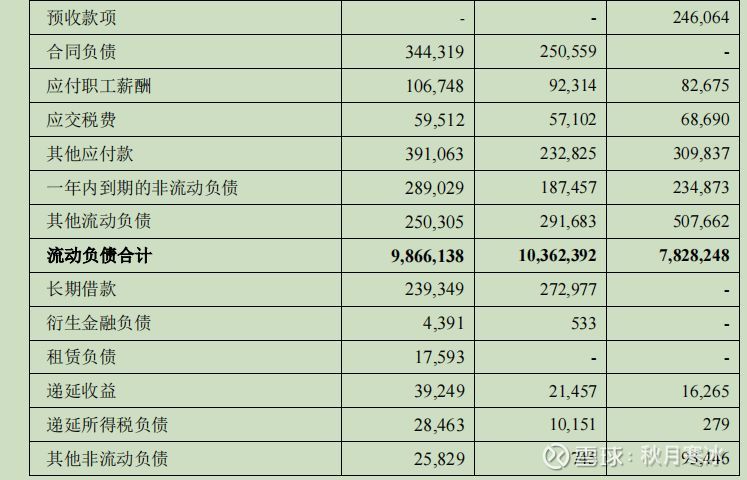 金龍魚的資產負債表：金龍魚公司資產負債表