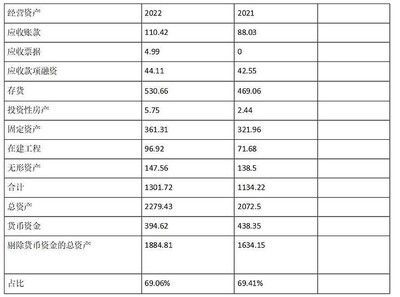 金龍魚的資產負債表：金龍魚公司資產負債表