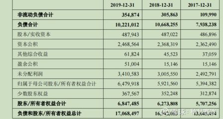 金龍魚的資產負債表：金龍魚公司資產負債表