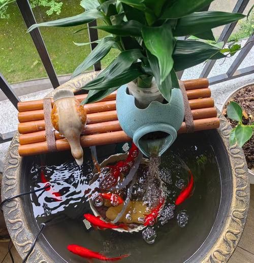 金龍魚造景圖 金龍魚造景圖 龍魚百科 第43張