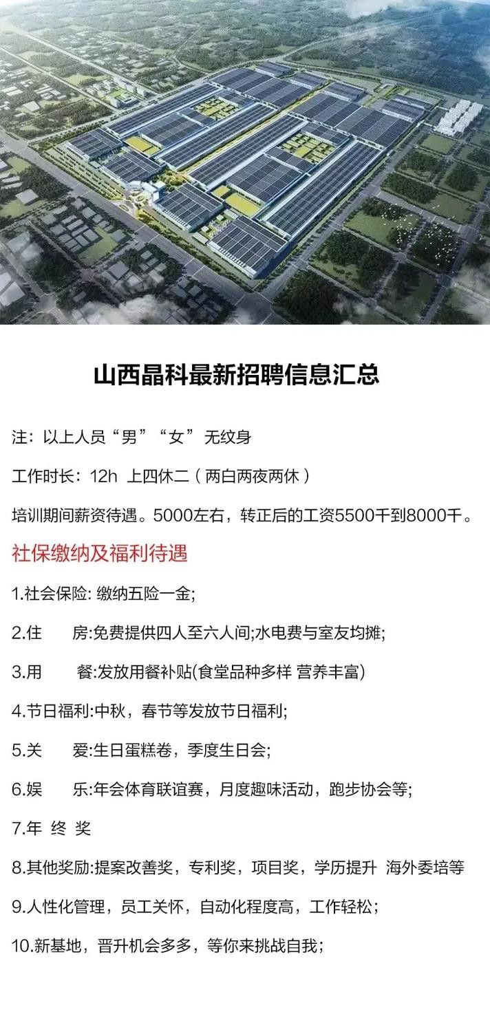 山西金龍魚區域經理