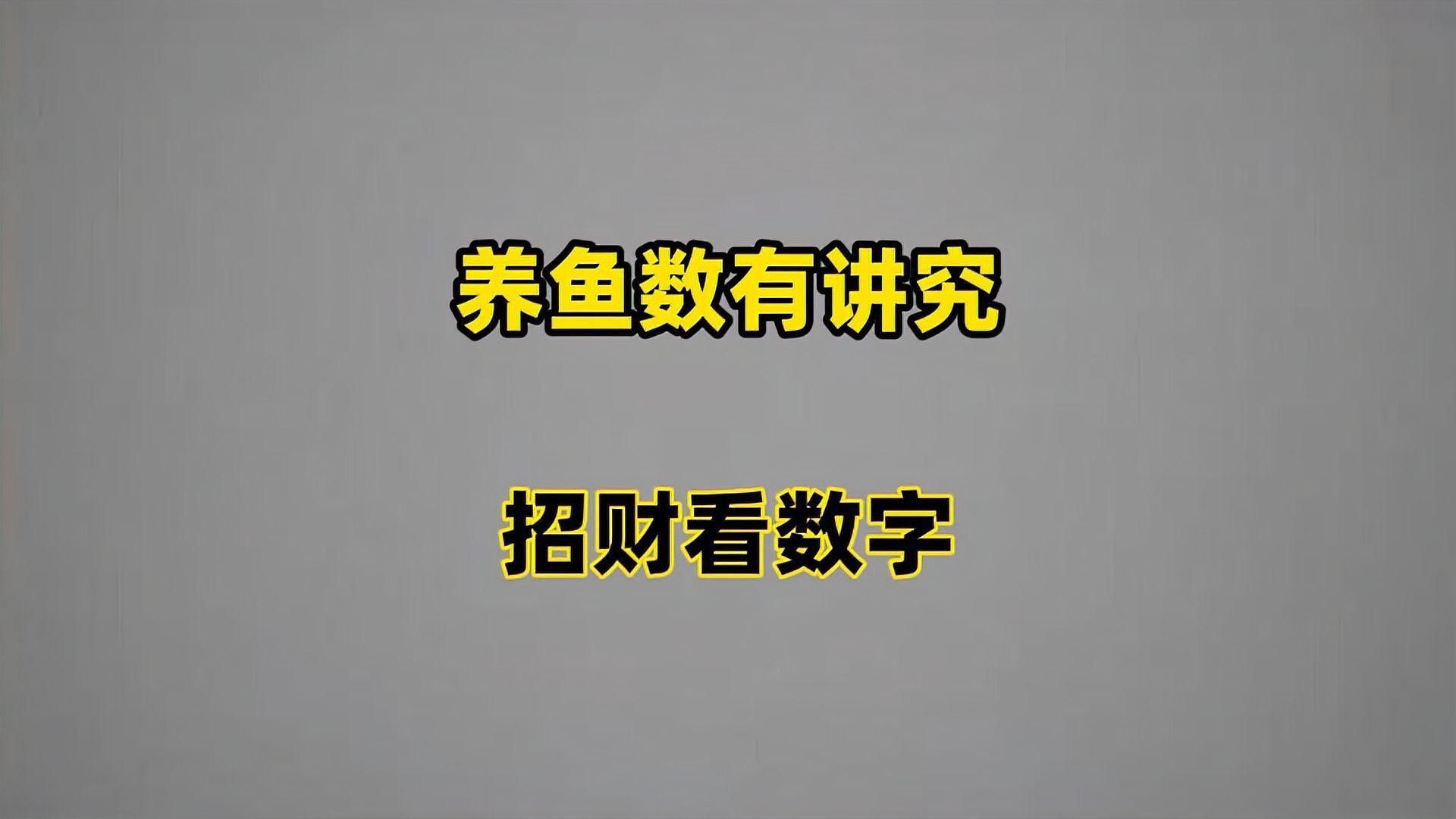 現(xiàn)代風水對養(yǎng)魚數(shù)量有何看法？ 現(xiàn)代風水對養(yǎng)魚數(shù)量有何看法？ 龍魚百科 第4張