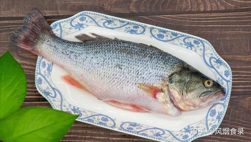 龍魚和烏魚哪個刺少