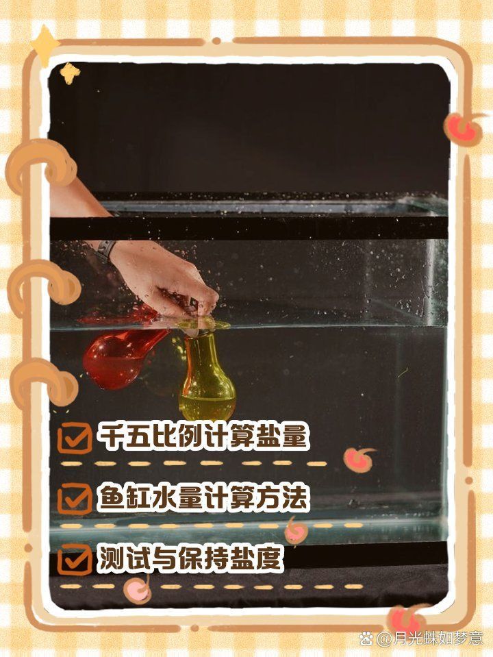 龍魚1000升水下多少鹽 龍魚1000升水下多少鹽 龍魚百科 第9張