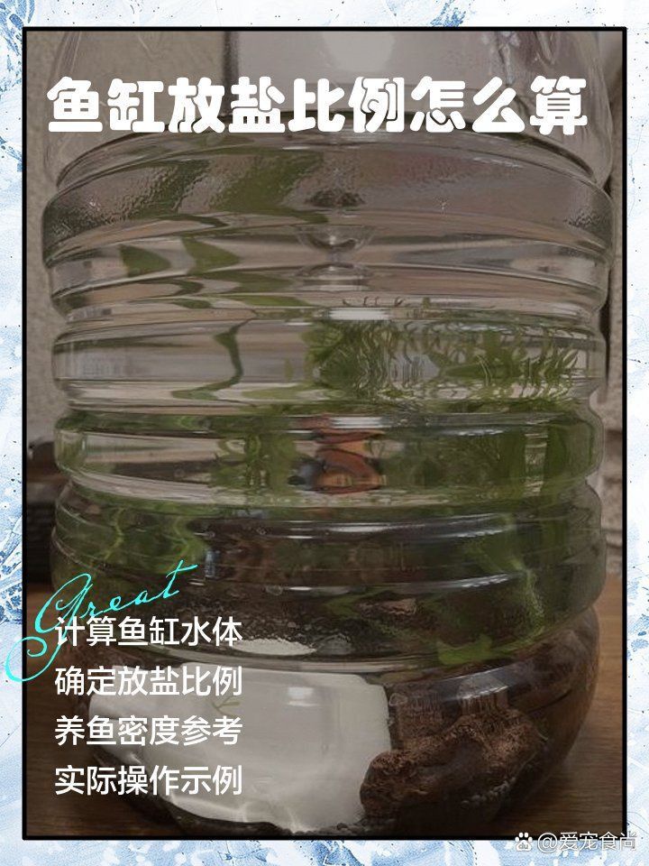 龍魚1000升水下多少鹽 龍魚1000升水下多少鹽 龍魚百科 第11張