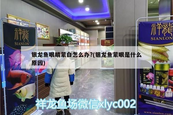 蒙眼藥 龍魚蒙眼特效藥:龍魚蒙眼藥是一種有效的藥物,如何自制龍魚蒙眼藥的保存方法 龍魚百科 第2張 蒙眼藥 龍魚蒙眼特效藥:龍魚蒙眼藥是一種有效的藥物,如何自制龍魚蒙眼藥的保存方法 蒙眼藥 龍魚蒙眼特效藥:龍魚蒙眼藥是一種有效的藥物,如何自制龍魚蒙眼藥的保存方法 龍魚百科 第2張