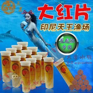 蒙眼藥 龍魚蒙眼特效藥:龍魚蒙眼藥是一種有效的藥物,如何自制龍魚蒙眼藥的保存方法 龍魚百科 第4張 蒙眼藥 龍魚蒙眼特效藥:龍魚蒙眼藥是一種有效的藥物,如何自制龍魚蒙眼藥的保存方法 蒙眼藥 龍魚蒙眼特效藥:龍魚蒙眼藥是一種有效的藥物,如何自制龍魚蒙眼藥的保存方法 龍魚百科 第4張