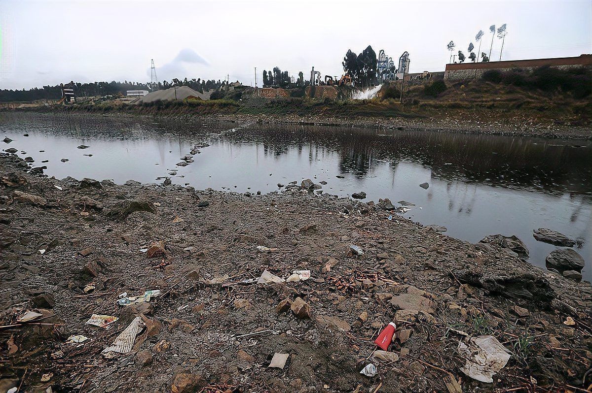 土霉素泡三天后如何處理 土霉素泡三天后如何處理 龍魚百科 第6張